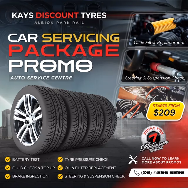What services does Albion Park Auto Electrical & Mechanical offer?