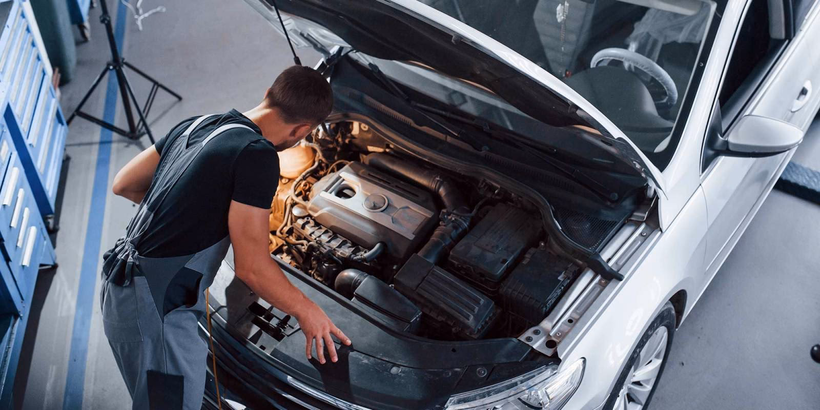 Who are the best auto service providers in Melbourne?
