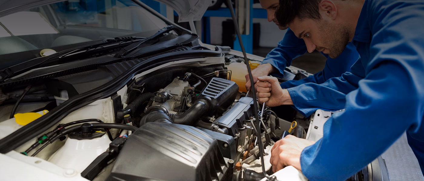 Who is Cumbria Auto Electrical Services Ltd?