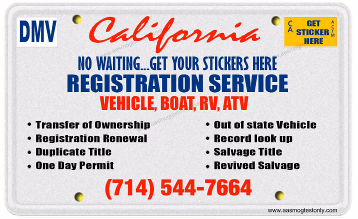 Who is national transfer services Edinburgh?