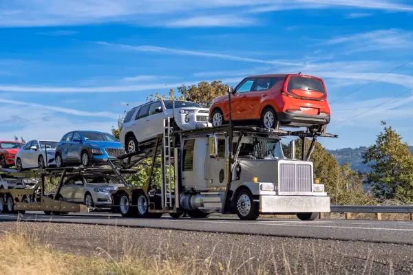 Who is Cali transportation?