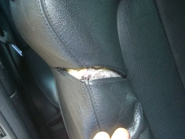 Does Richmond & James offer car upholstery services in Portsmouth?