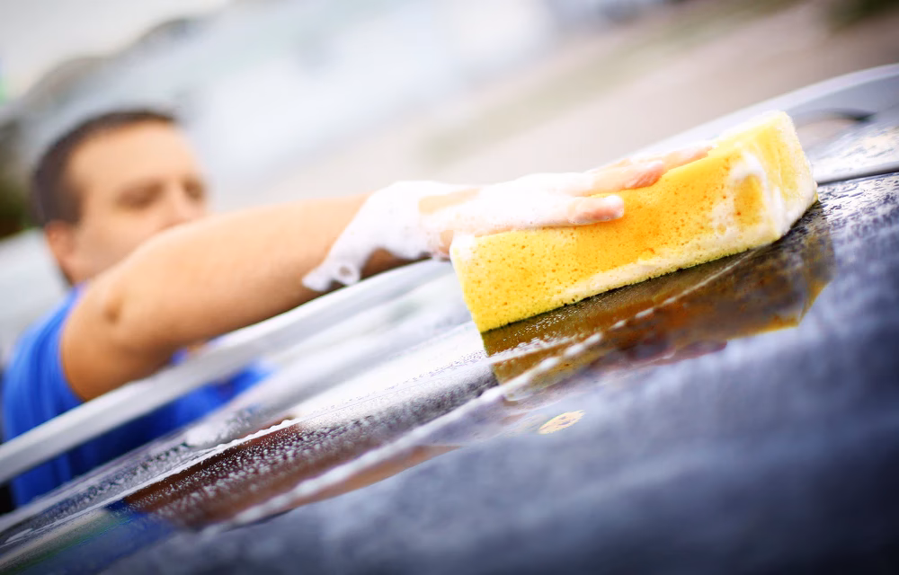 Why should I choose a wax is dead elite installer?