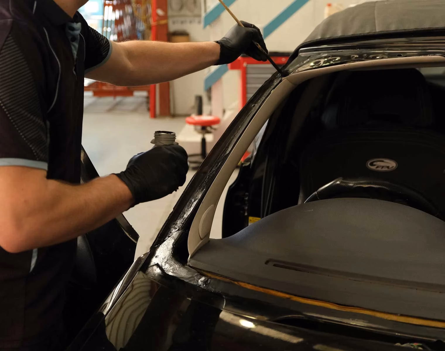 Who is Tauranga windscreens & glass?