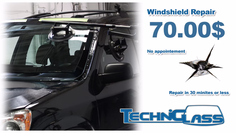 Who is auto glass experts?