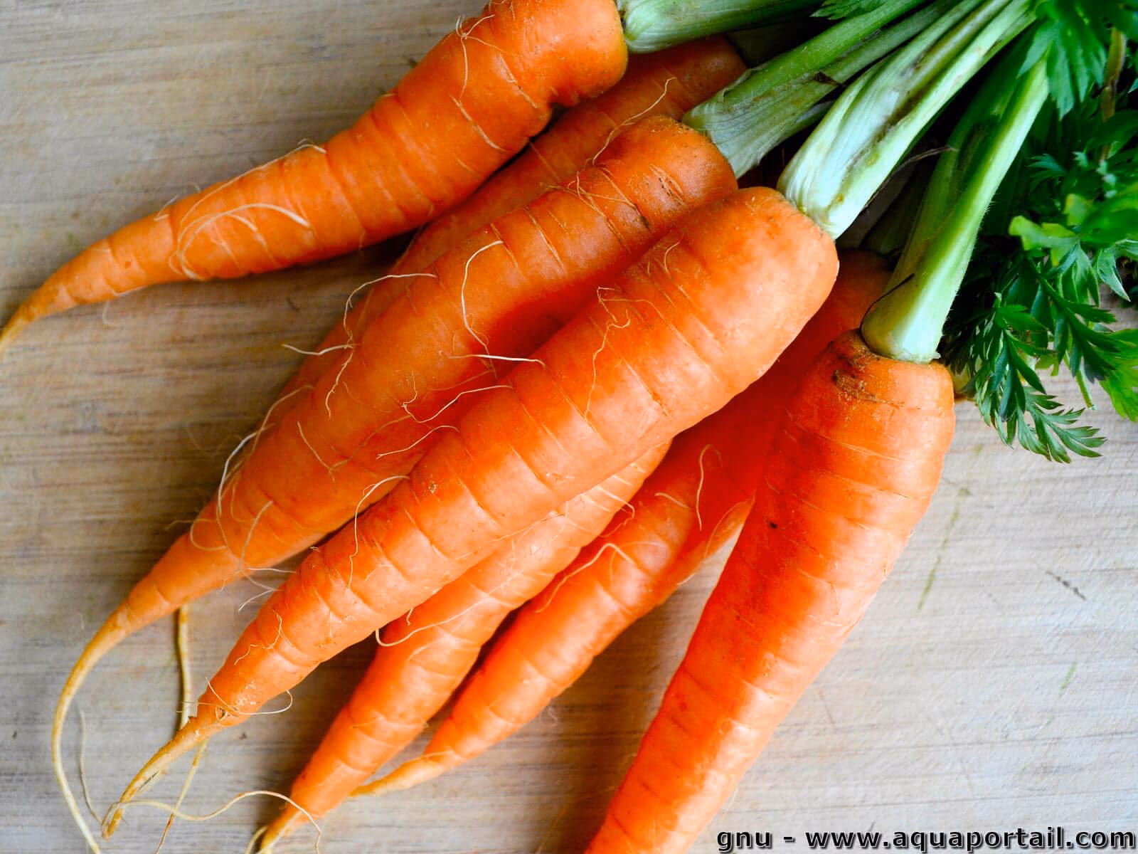 Quel est le synonyme de semer des carottes ?