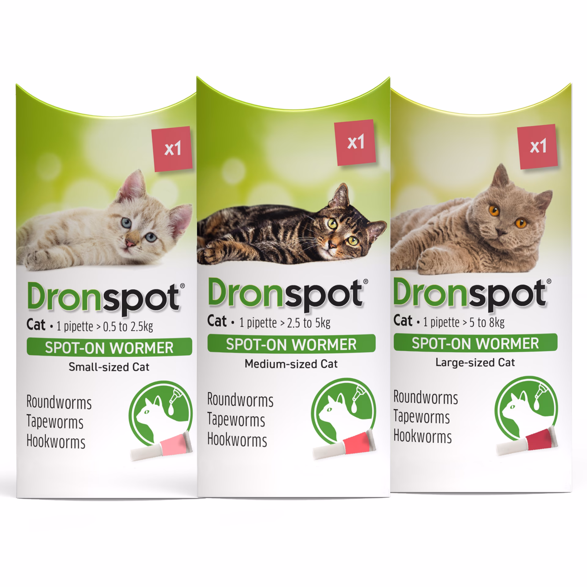 What is the best worming treatment for cats?