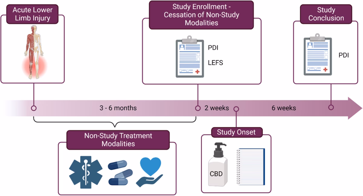 Does CBD affect rheumatoid arthritis synovial fibroblasts?