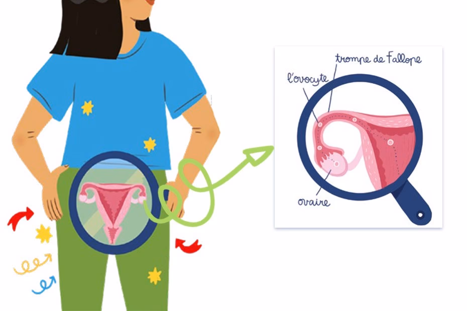 Qu'est-ce que les fausses règles ?