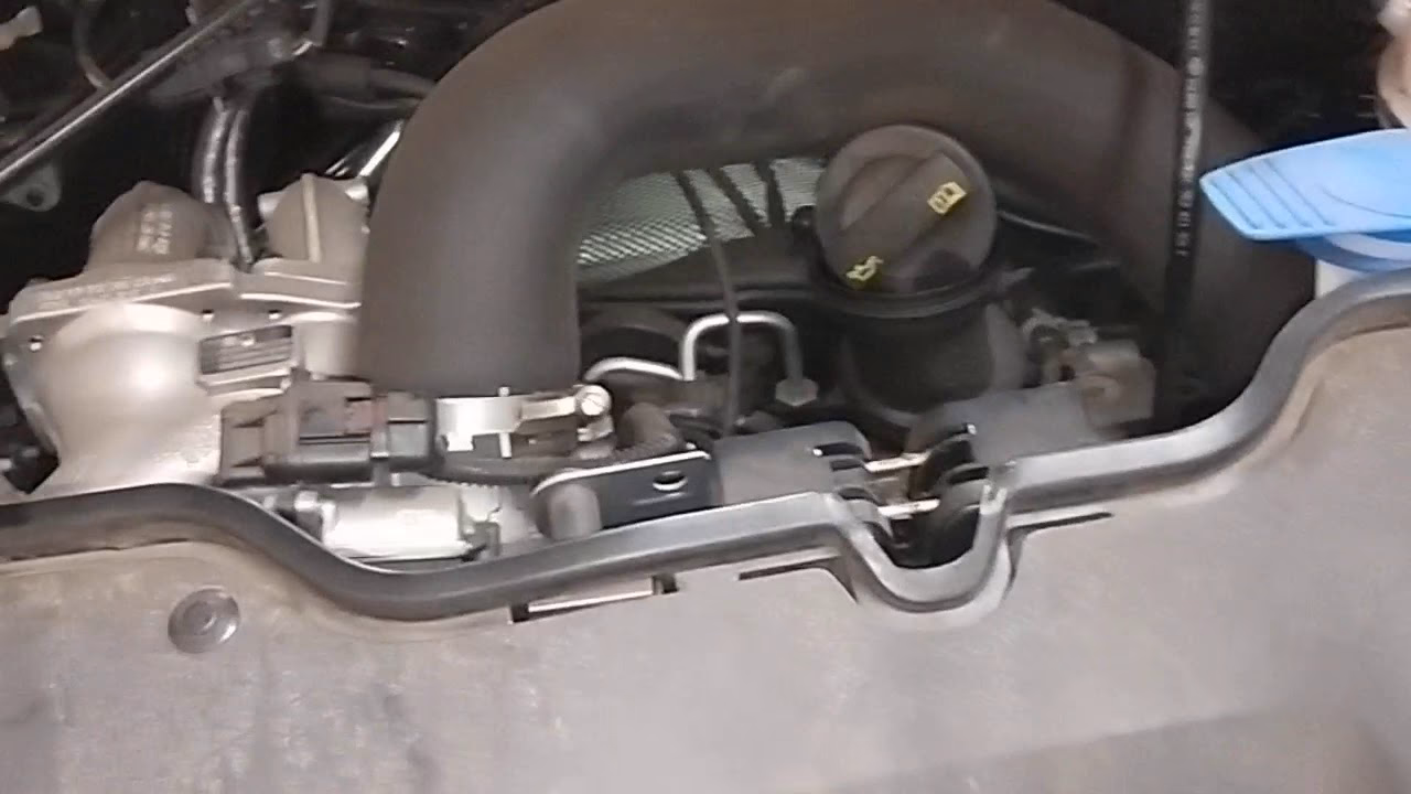 How much does a DSG oil service cost?