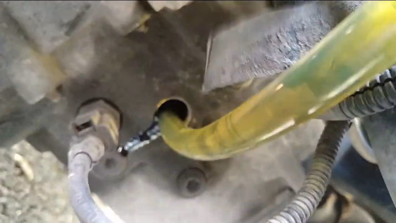 How much does a DSG oil change cost?
