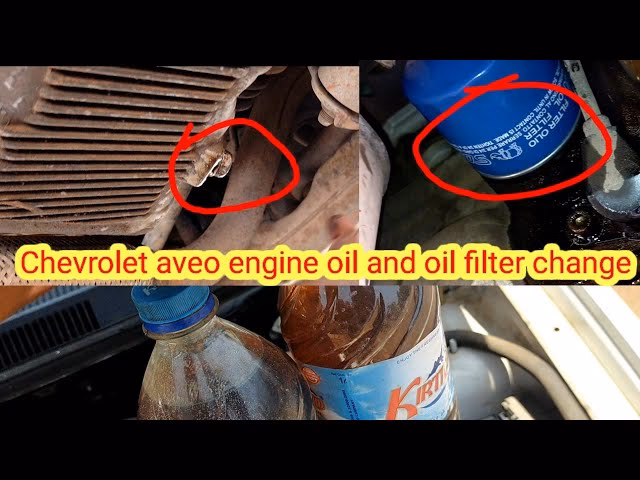 What's in the Chevrolet Aveo maintenance and repair manual?