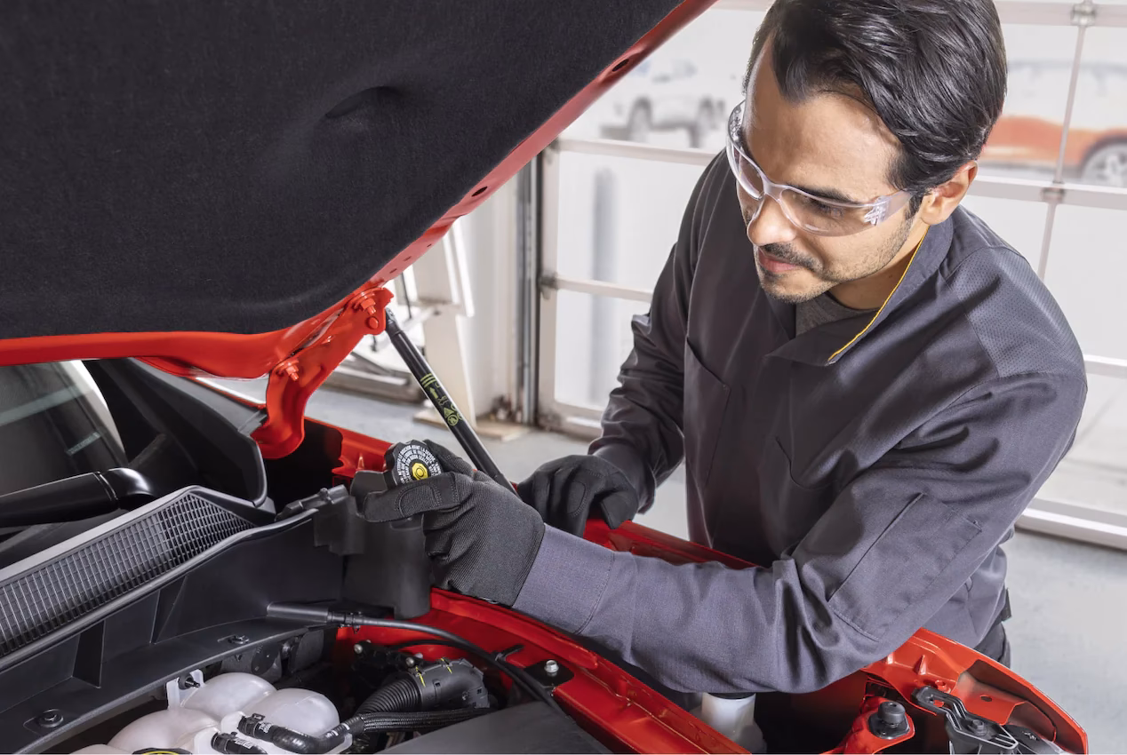 Where can I find a GM tire offer?