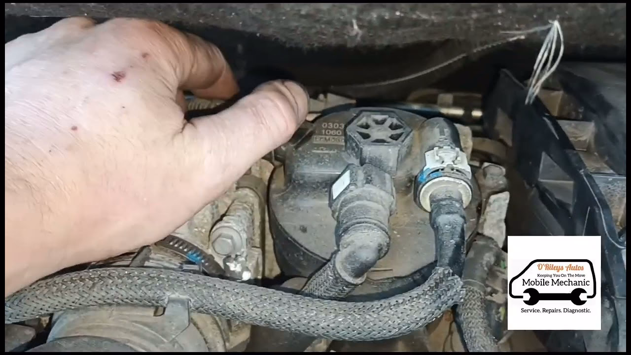 How to order engine oil filter for citron Bernino?