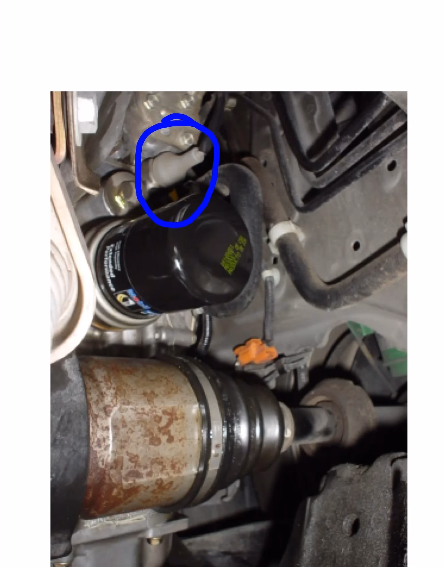 Does clubrsx have an oil filter?