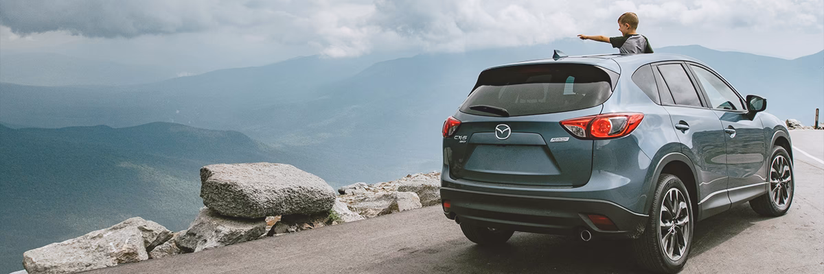 What insurance does a co-op member get?