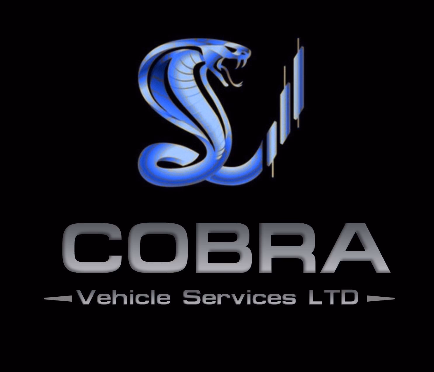 What is the Cobra vehicle used for?
