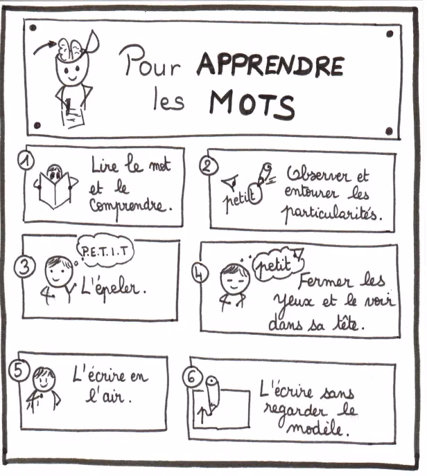 Comment apprendre un mot nouveau ?