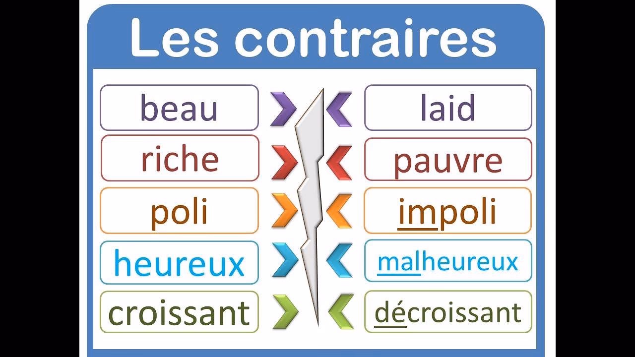 Quelle est la différence entre un antonyme et un contraire ?