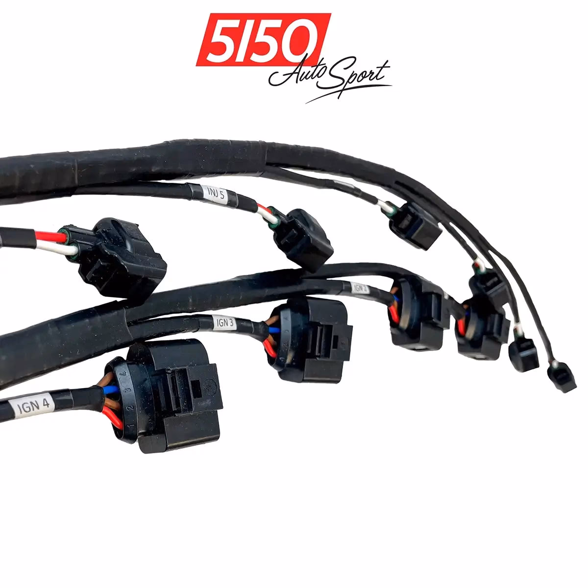 Can I wire my Holley EFI system myself?