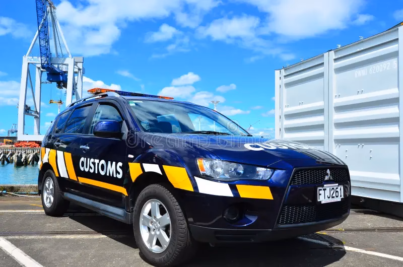 How does AA car import customs clearance work?