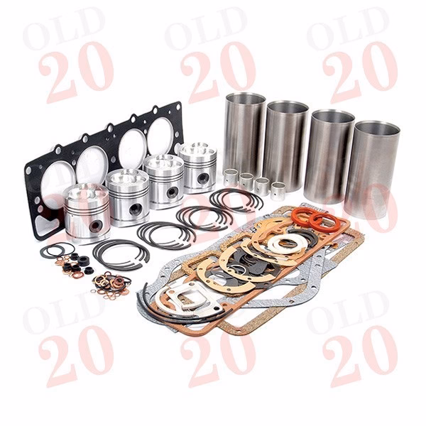What is included in a David Brown engine overhaul kit?