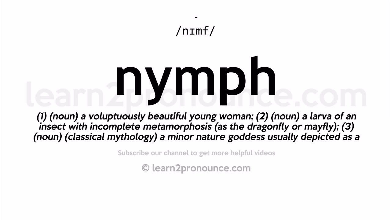 Qu'est-ce que les nymphes ?