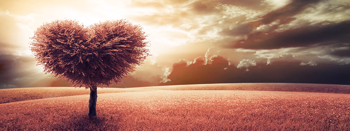 Quels sont les bienfaits du cœur ?