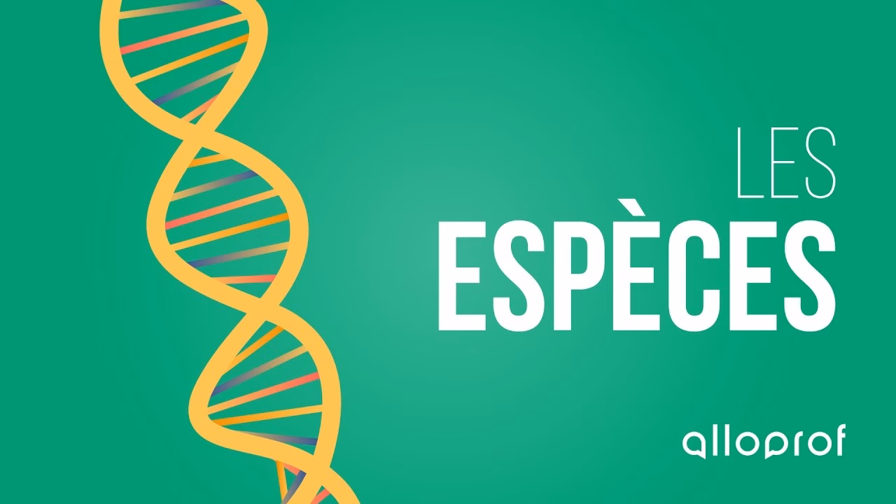 C'est quoi une espèce ?
