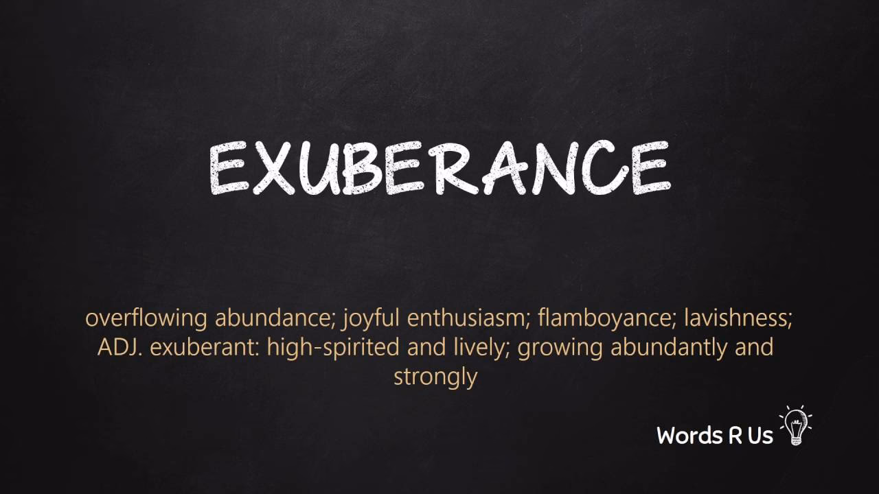 C'est quoi l'exubérance ?