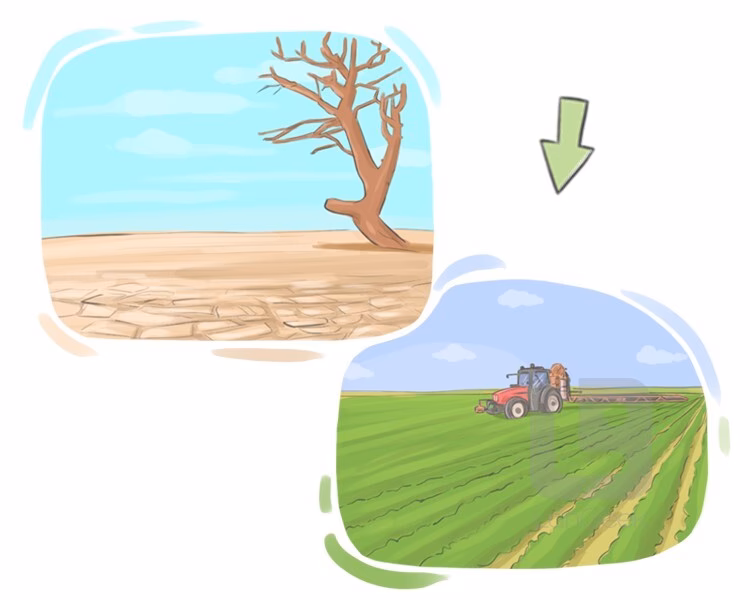Qu'est-ce que ça veut dire fertile ?