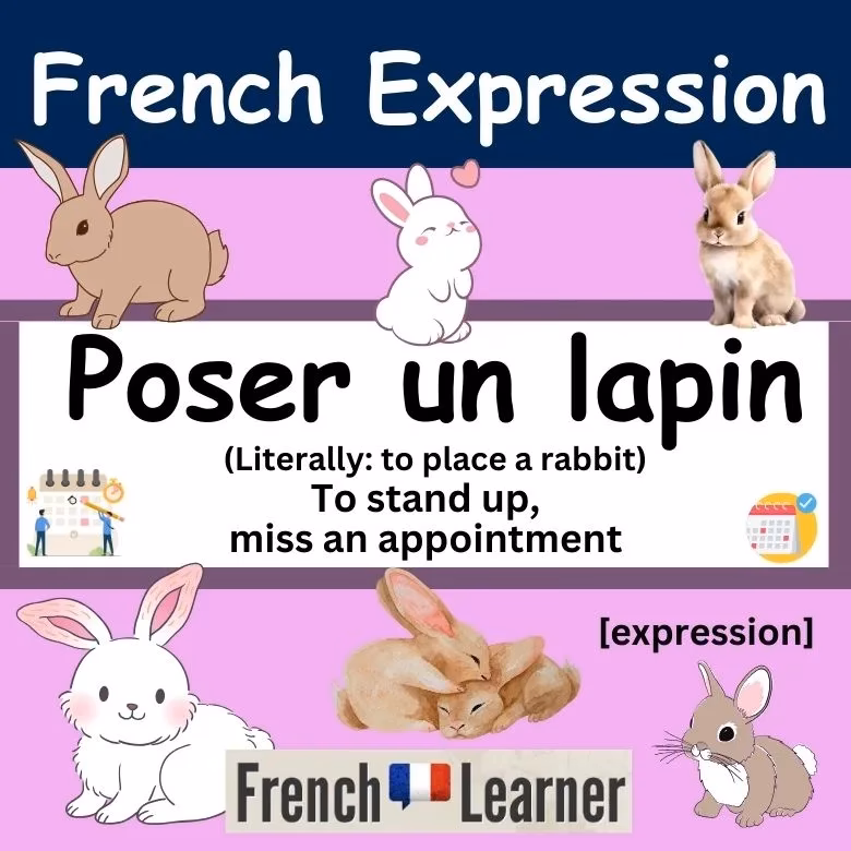 Quelle est l'origine du mot lapin ?