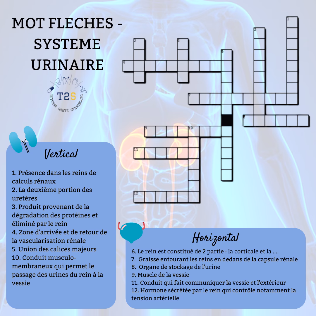 Combien y a-t-il de solutions pour dégradation ?