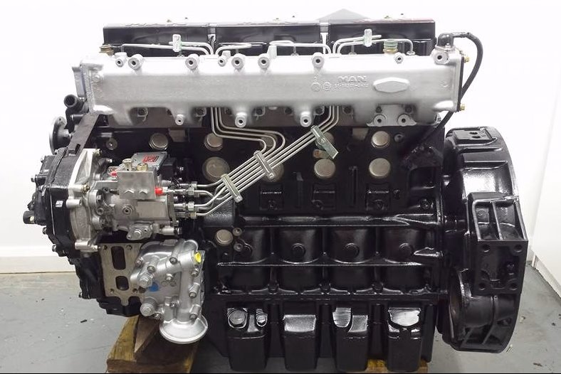 Where can I get a diesel engine repaired in Maitland?