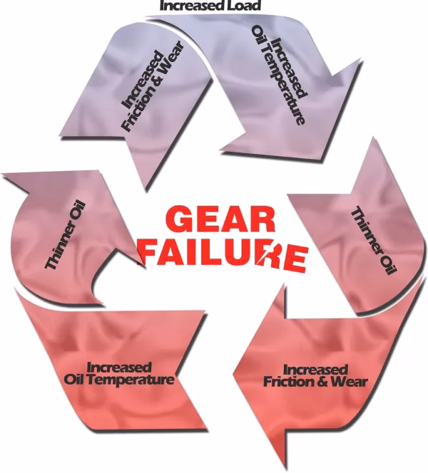 How long does it take to change front and rear differential fluid?