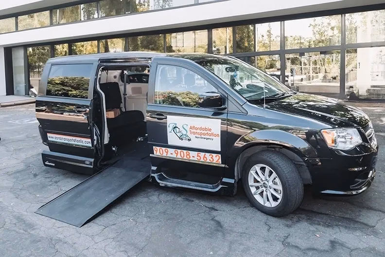 Do you provide wheelchair accessible transport in Hailsham?