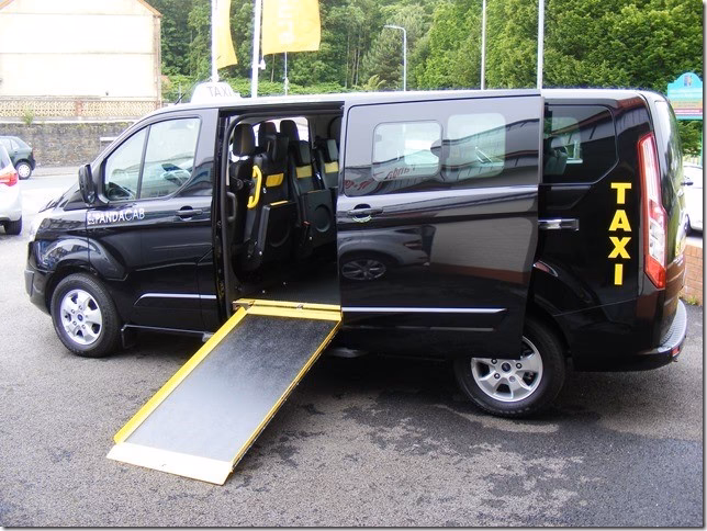 Who are the biggest taxi companies in Hailsham?