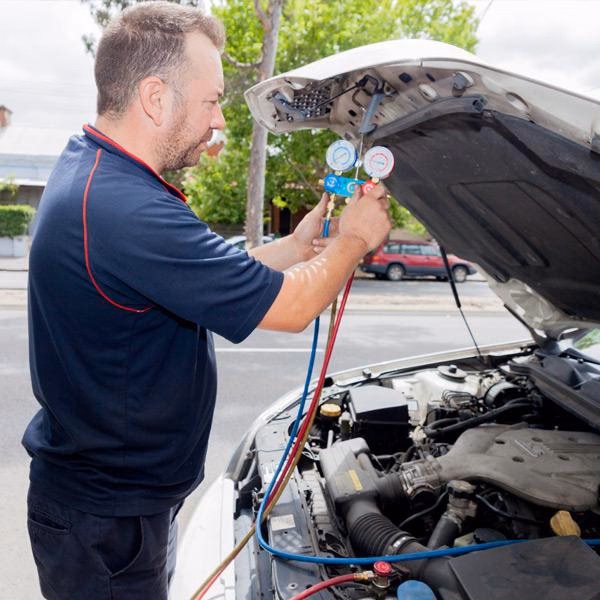 Who operates Docklands Buses?