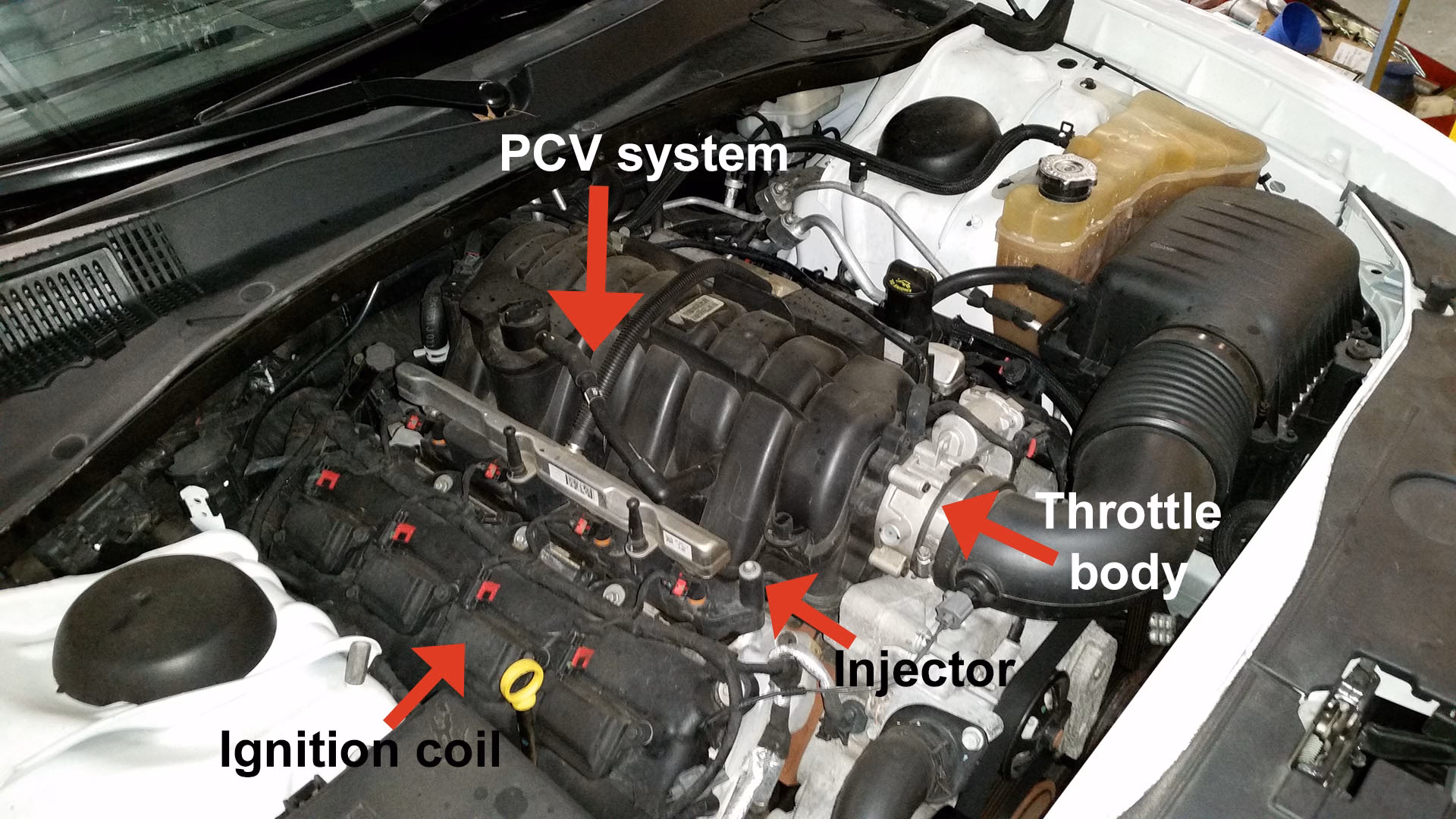 How much does a car tuneup cost?