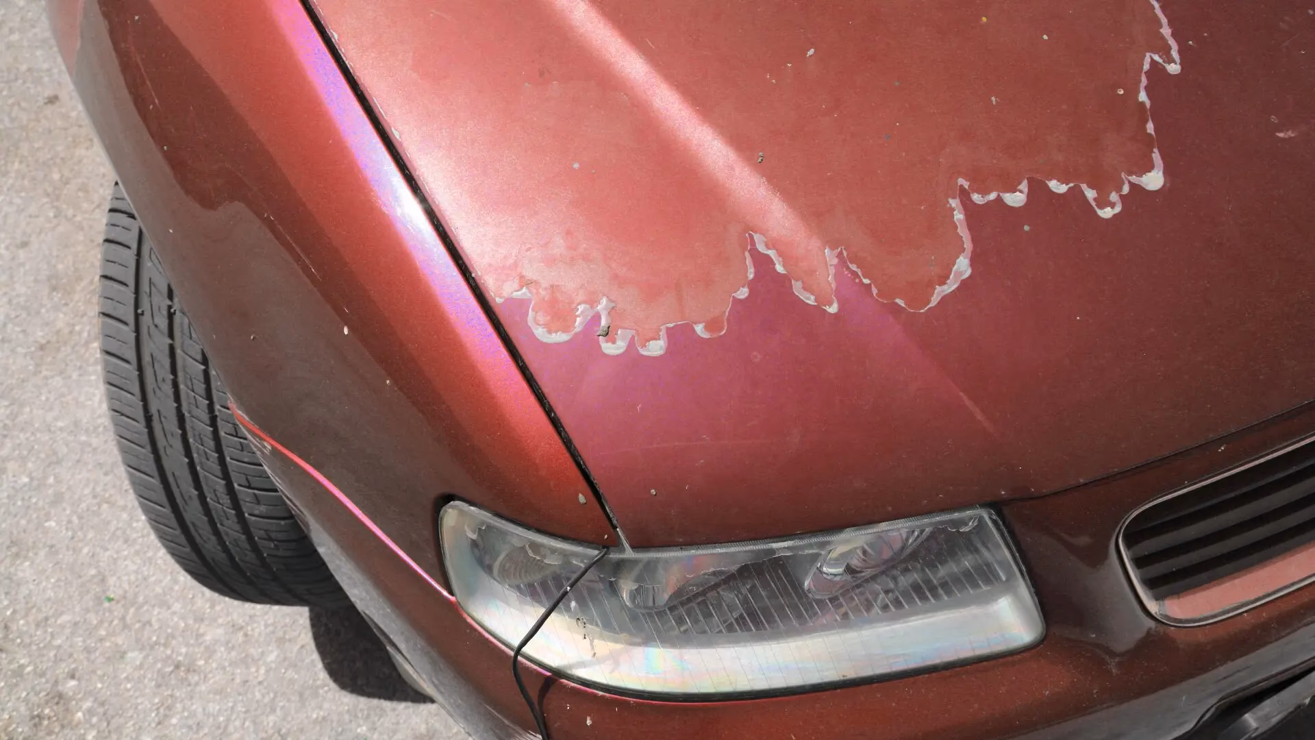 Are water based paints good for cars?