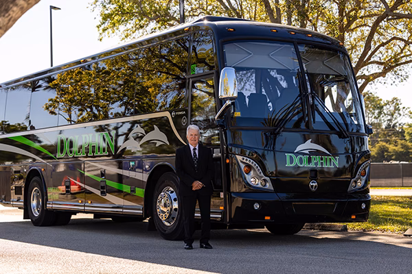 What makes a BYD dolphin a good hatchback?