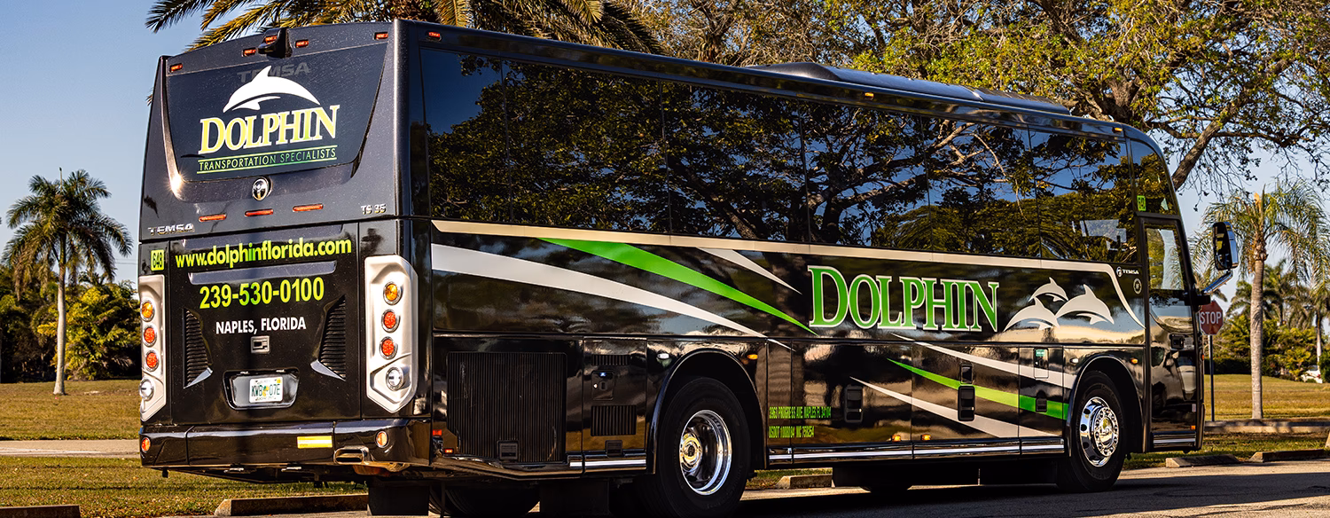 Where is Dolphin Car Sales located?