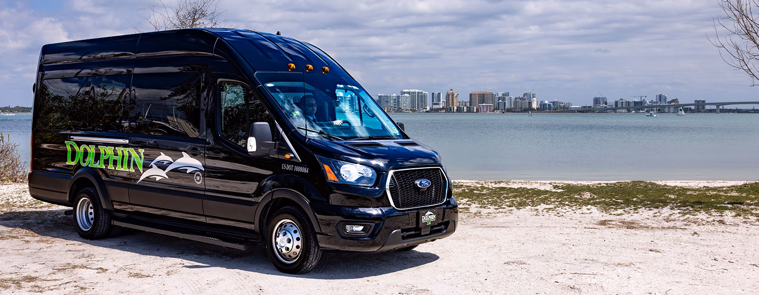 Who is Dolphin automotive?