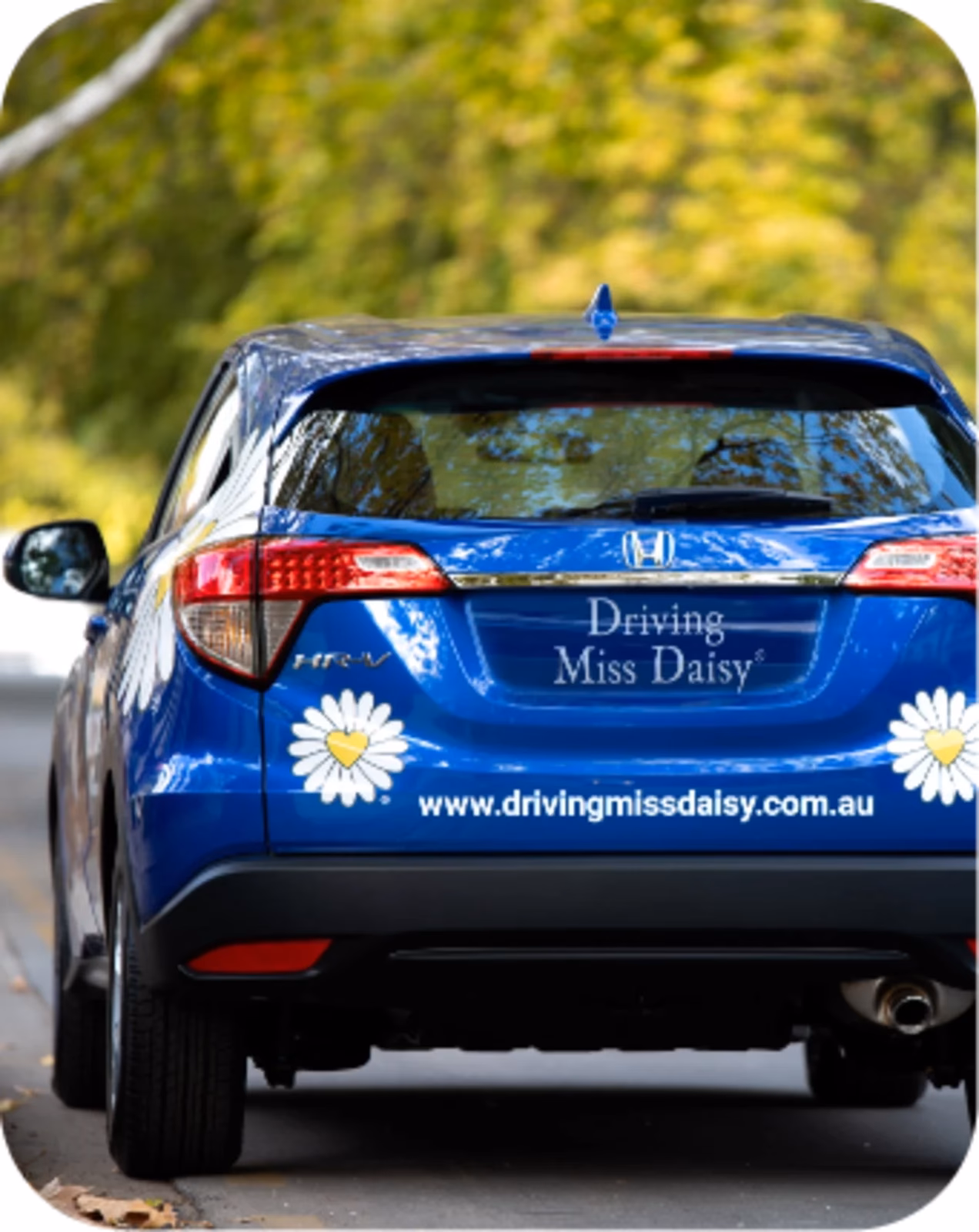 How does Driving Miss Daisy change lives?