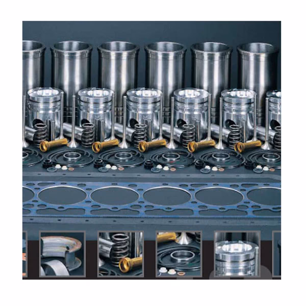 What are the model numbers of the DT466 engines?