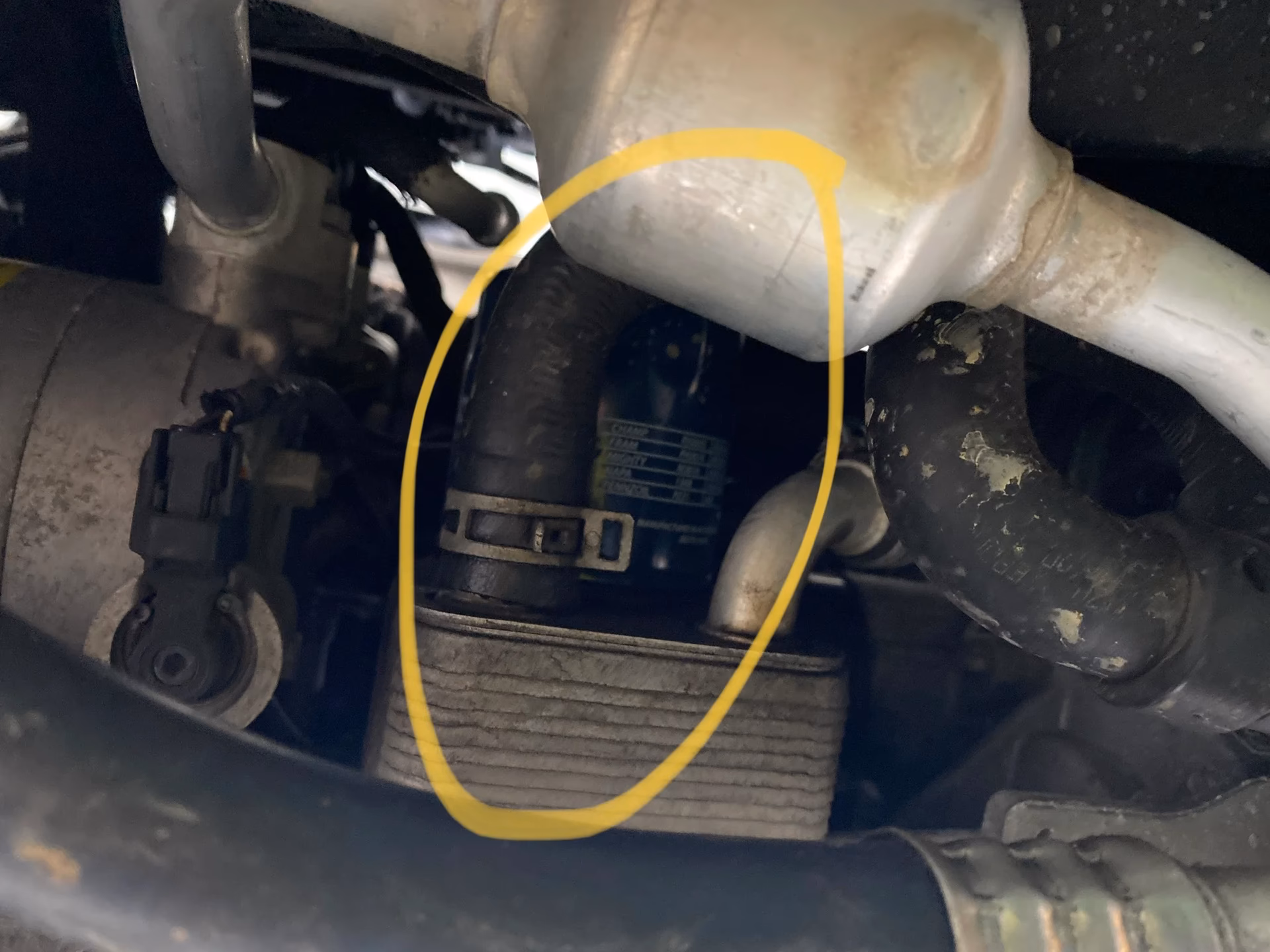 Which oil filter is best for your car engine?