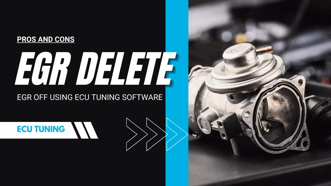 Is EGR delete a personalised remap decision?