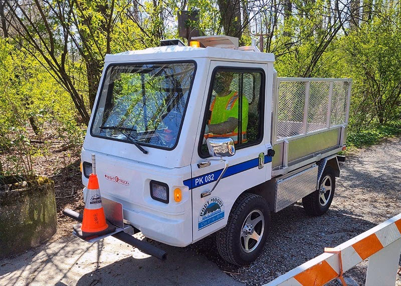 What is the 2025 electric small public service vehicle grant scheme?