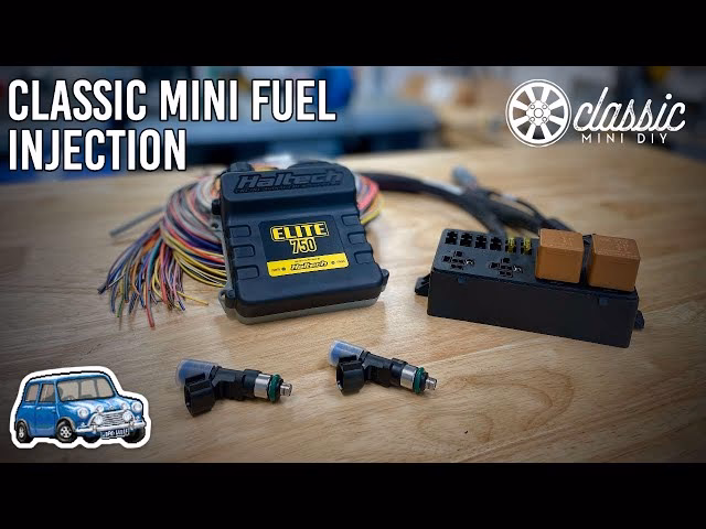 Who is elite motor tune?