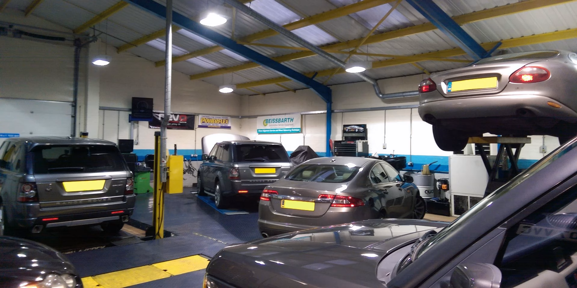 Who is Elite Services Limited?